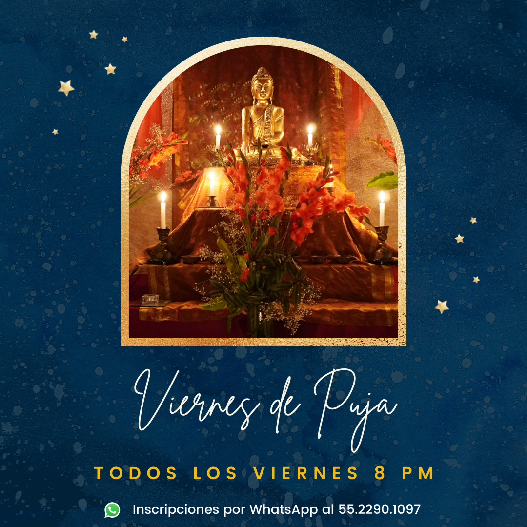 Viernes de Puja FB e IG
