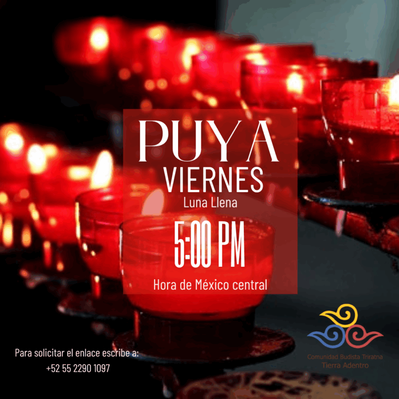 Puya de Luna Llena