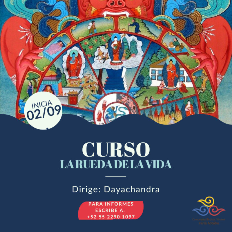 RuedaVida