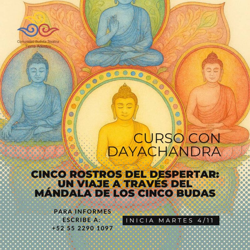 Curso Mandala