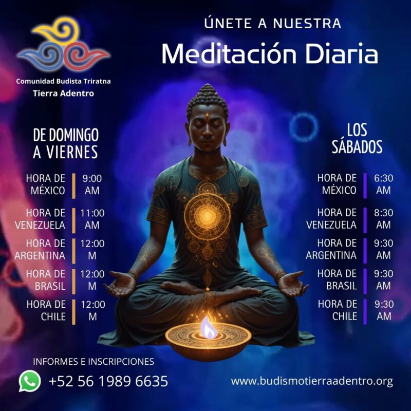 Meditacion 2026
